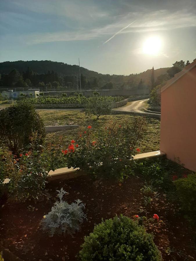 Apartment "Manna Zrnovo Exterior photo
